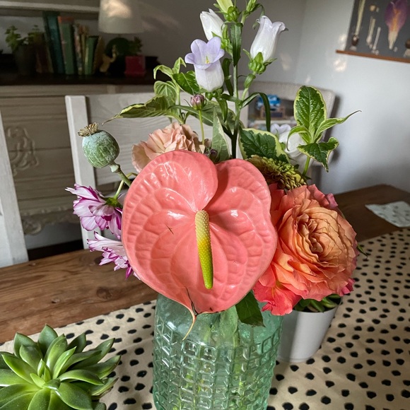 Meet your Posher, Jennifer - Picture 1 of 1